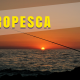 europesca commercity