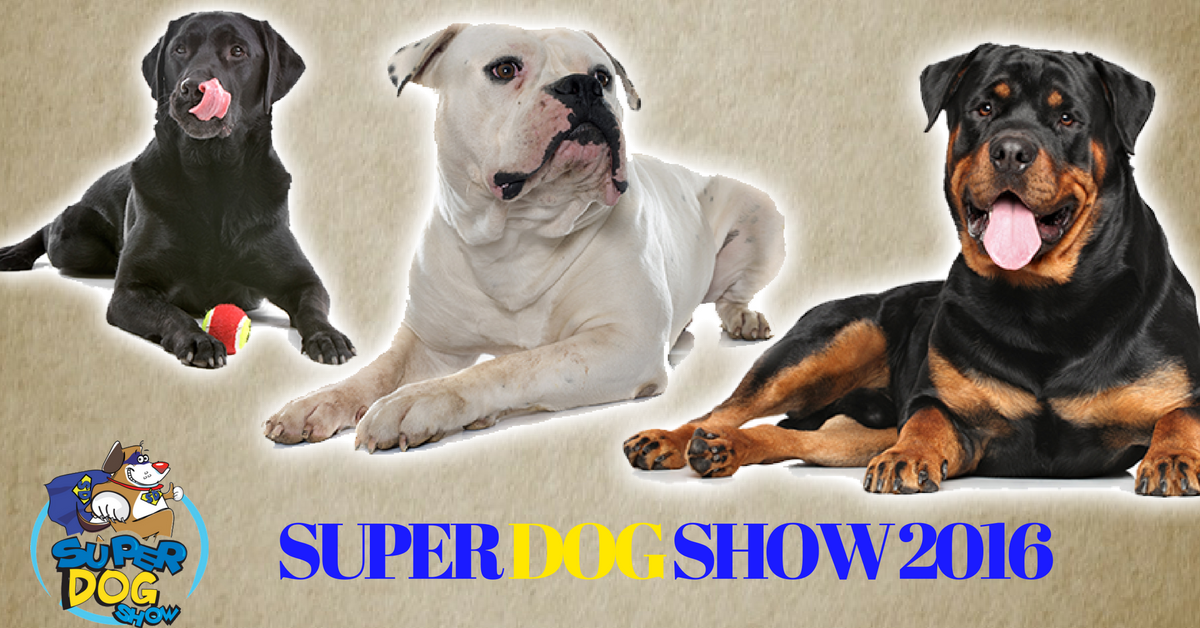 Super dog show Fiera di Roma roma presso commercity