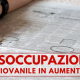 disoccupazione giovanile